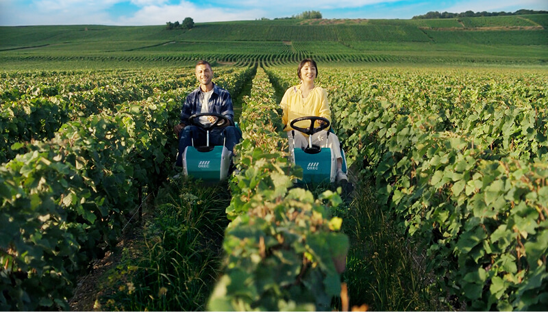 シャンパーニュ篇のサムネイル