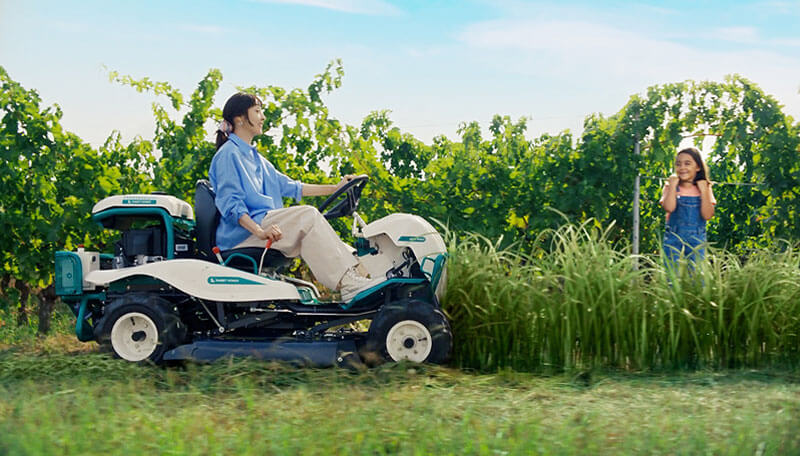 ボルドー篇のサムネイル