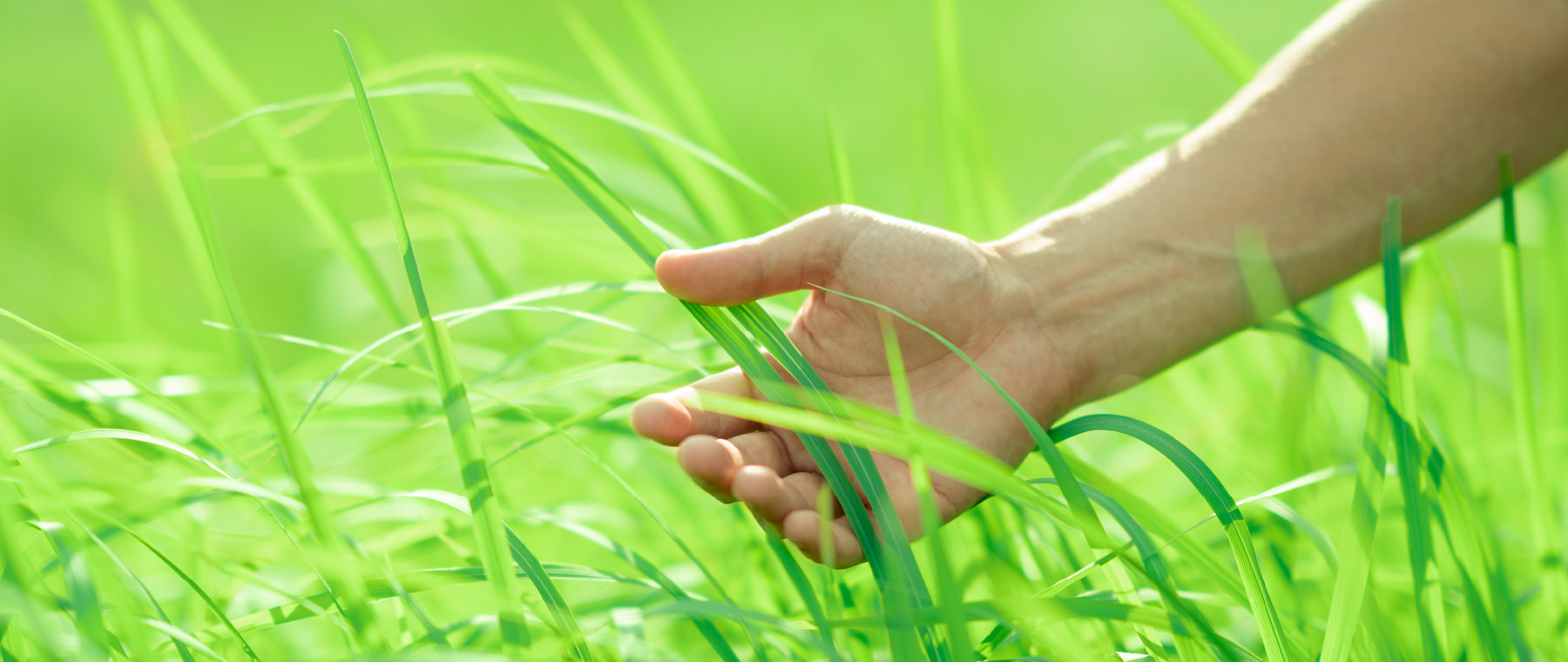 ORECの想い｜株式会社オーレック [OREC CO.,LTD.] 草刈機・管理機