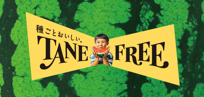 ブレーキアウターキャップ (10個入り) ｜パーツ・用品・自転車