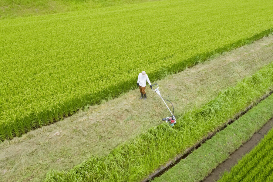 斜面草刈り機「スパイダーモアー」で斜面を刈る様子