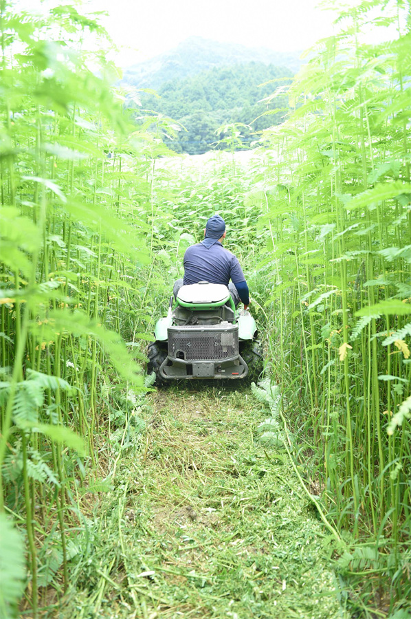 ラビットモアの足跡