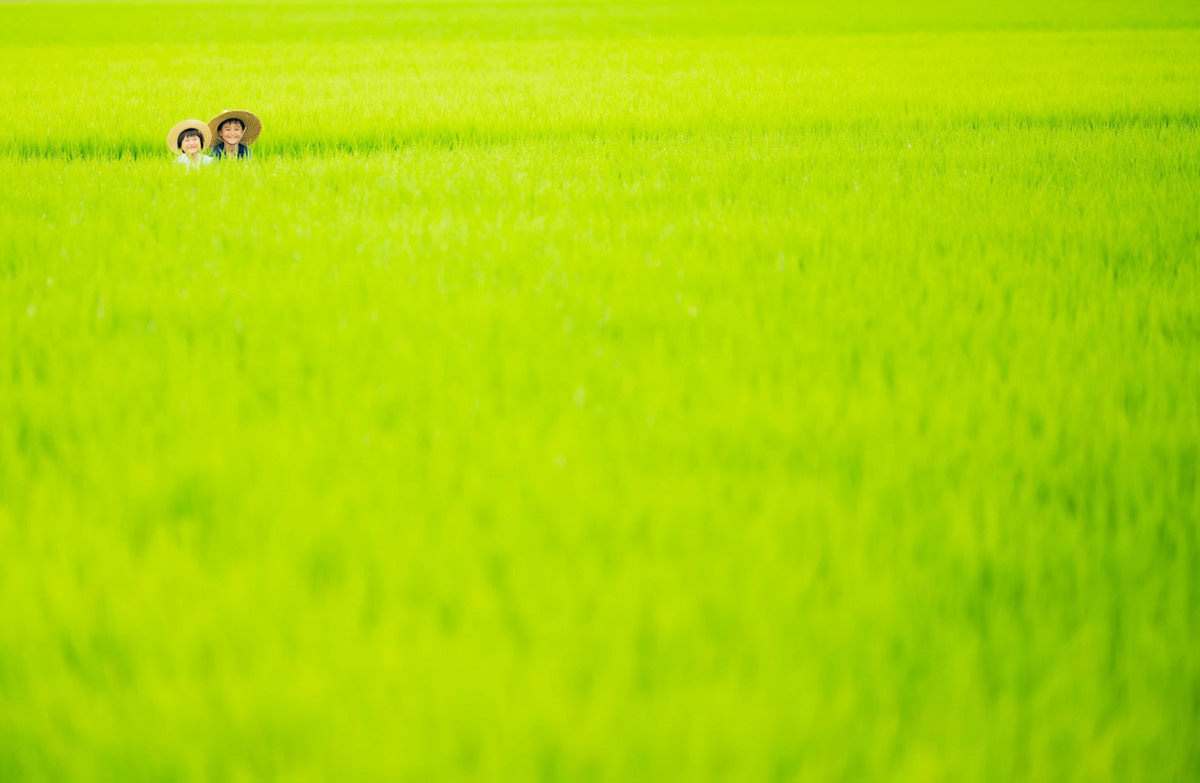 わたしの好きな、農のある風景