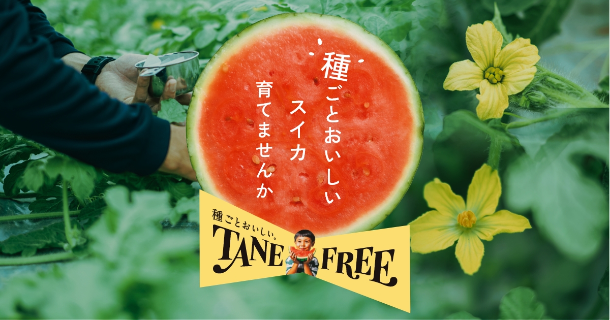 種ごとおいしいスイカ花粉 TANE FREE | オーレック株式会社