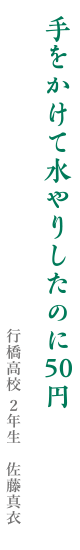 手をかけて水やりしたのに50円