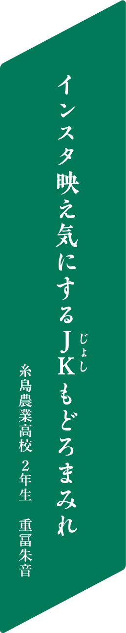 インスタ映え気にするＪＫもどろまみれ