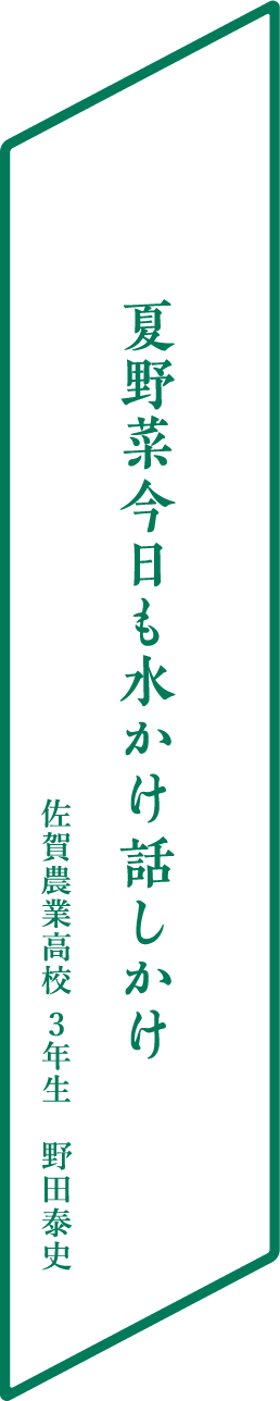 夏野菜今日も水かけ話しかけ