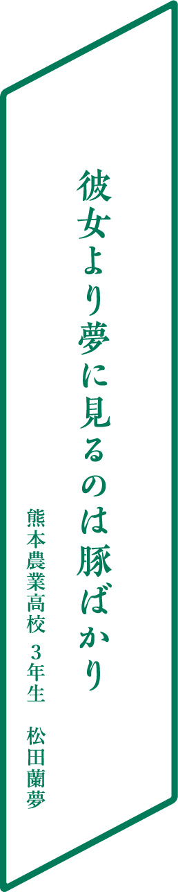 彼女より夢に見るのは豚ばかり