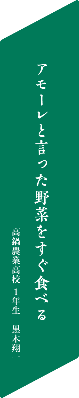 アモーレと言った野菜をすぐ食べる