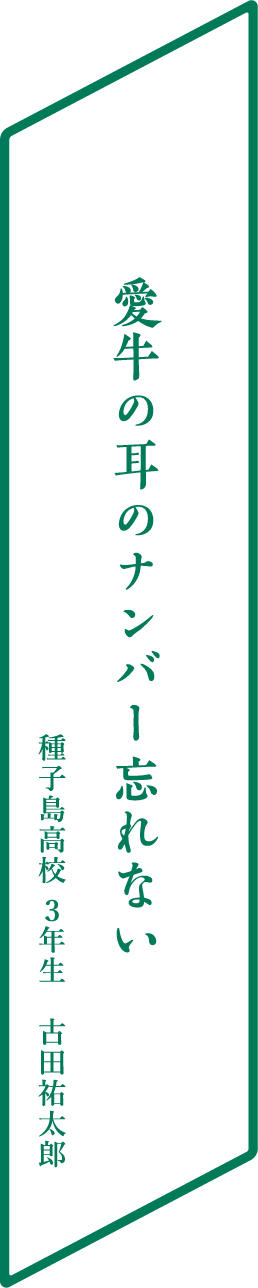 愛牛の耳のナンバー忘れない