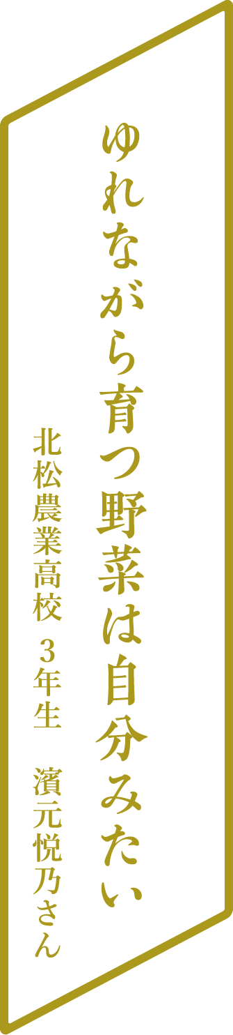 ゆれながら育つ野菜は自分みたい