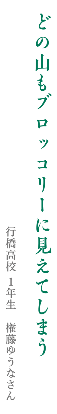 どの山もブロッコリーに見えてしまう