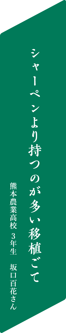 おじいちゃん？いやいや俺らは高校生