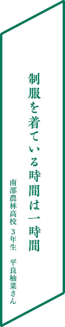 シャーペンより持つのが多い移植ごて