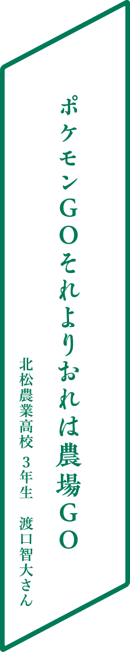 実習時飛び込む先にある真夏