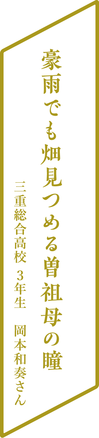 豪雨でも畑見つめる曽祖母の瞳