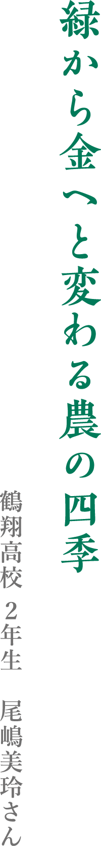 緑から金へと変わる農の四季