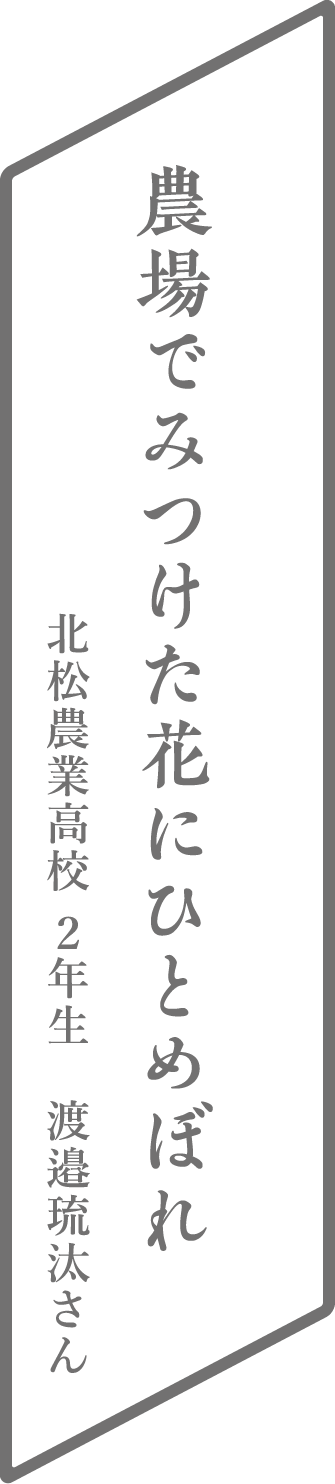 農場でみつけた花にひとめぼれ