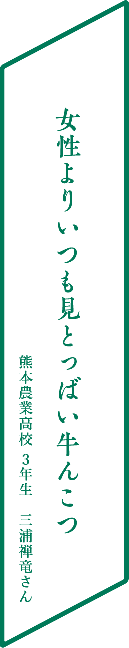 女性よりいつも見とっばい牛んこつ