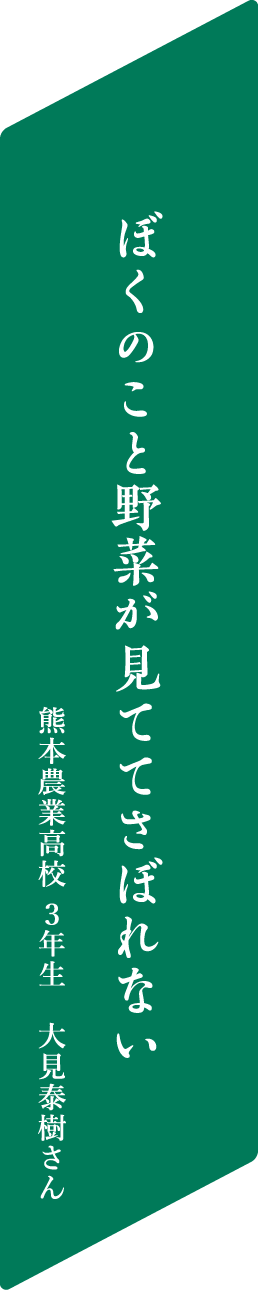 ぼくのこと野菜が見ててさぼれない